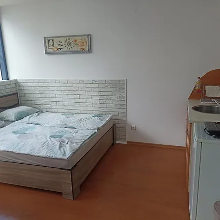 Rainbow Luci Sunny Beach